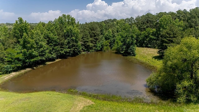6221 Bray Dr, Benton, AR 72019 - water view featuring a forest