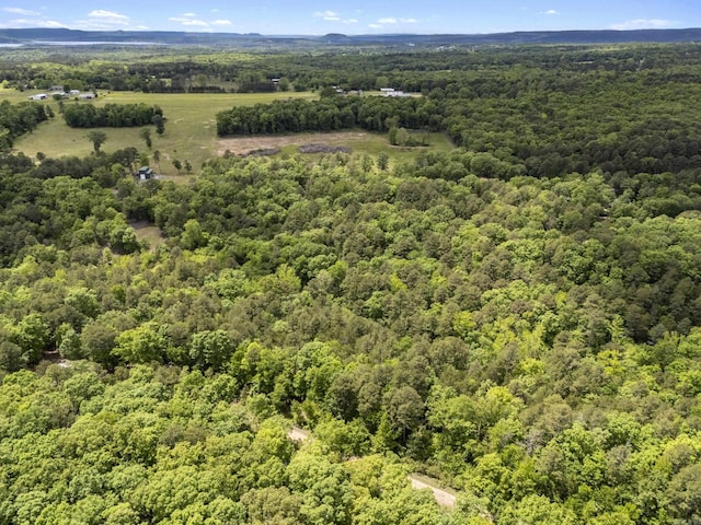 315 Steward Rd, Greers Ferry, AR 72067
