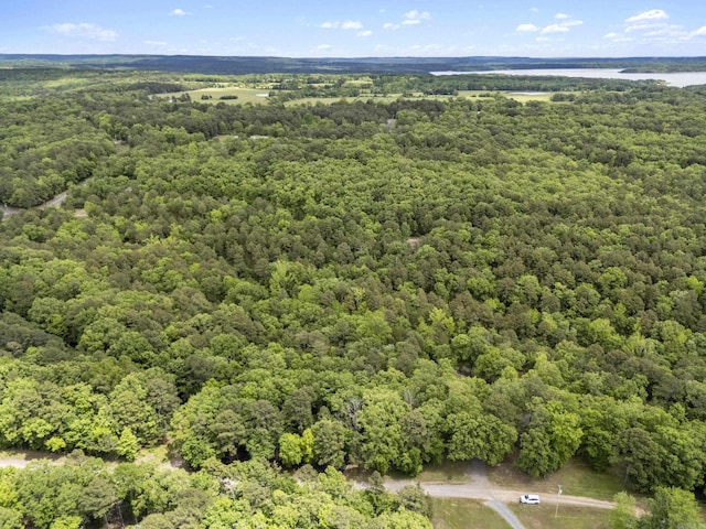 315 Steward Rd, Greers Ferry, AR 72067