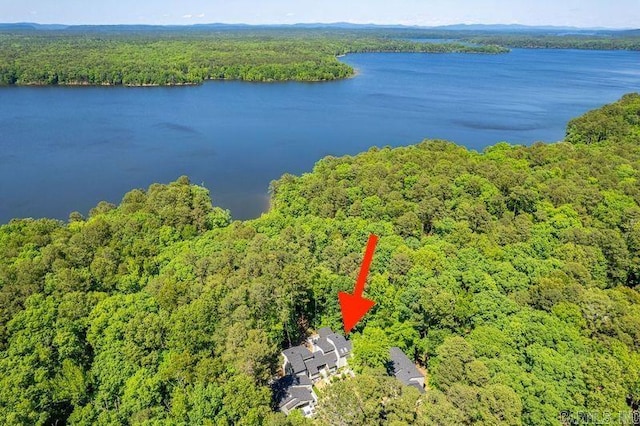 90 Silver Point Dr, Mount Ida, AR 71957 - aerial view of a forest and a nearby body of water