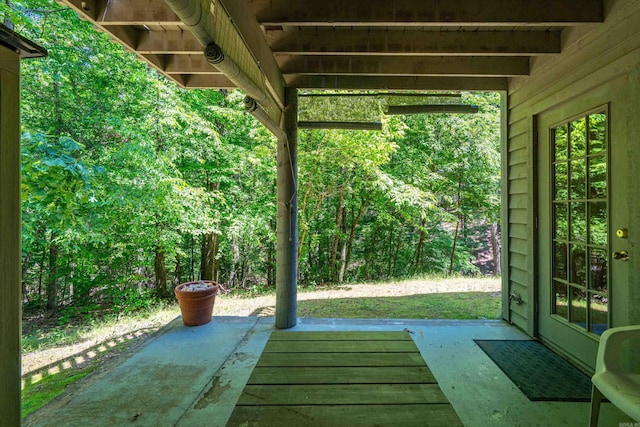 90 Silver Point Dr, Mount Ida, AR 71957 - view of patio