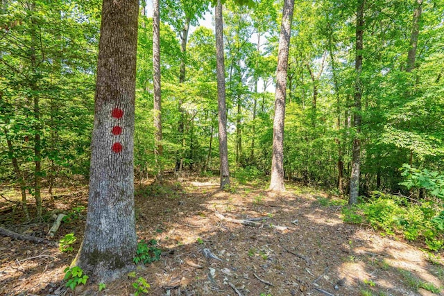 90 Silver Point Dr, Mount Ida, AR 71957 - view of wooded area
