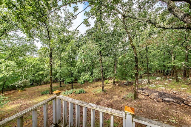 21221 Unicorn Ln, Roland, AR 72135 - view of yard