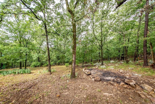 21221 Unicorn Ln, Roland, AR 72135 - view of woods