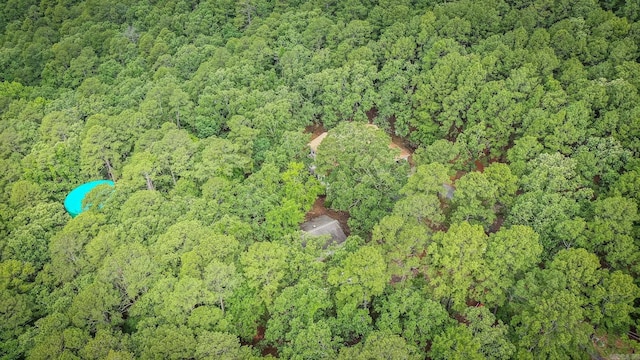 21221 Unicorn Ln, Roland, AR 72135 - aerial view of property's location with a forest