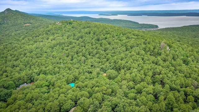 21221 Unicorn Ln, Roland, AR 72135 - aerial view of a forest and a mountainous background