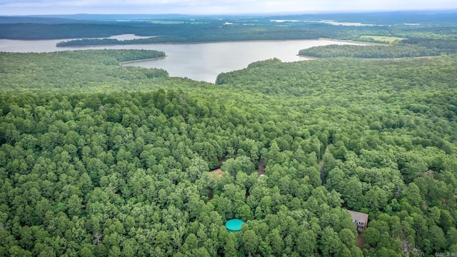 21221 Unicorn Ln, Roland, AR 72135 - drone / aerial view of a forest and a large body of water