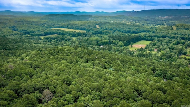 21221 Unicorn Ln, Roland, AR 72135 - aerial view of a heavily wooded area and a mountain backdrop