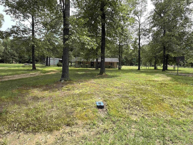 115 Ouachita 551, Camden, AR 71701 - view of yard
