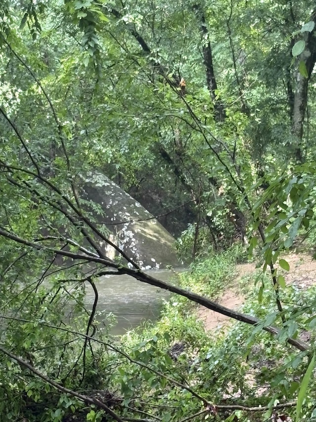 32 Arrow Ridge Rd, Damascus, AR 72039