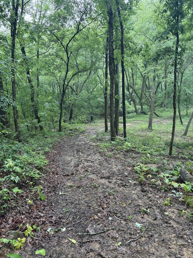 32 Arrow Ridge Rd, Damascus, AR 72039