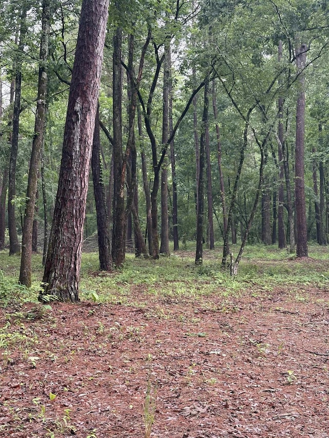 32 Arrow Ridge Rd, Damascus, AR 72039