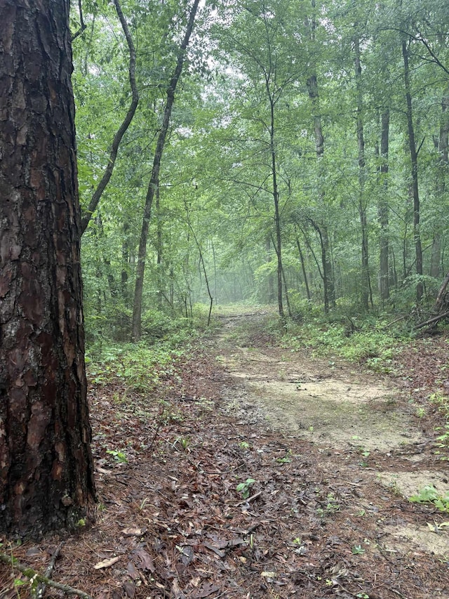 32 Arrow Ridge Rd, Damascus, AR 72039