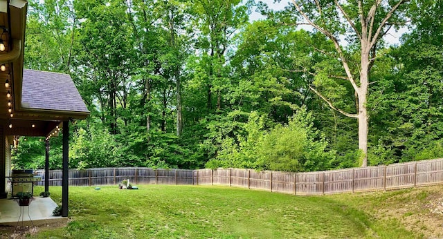 3008 Lilly Ln, Benton, AR 72019 - view of yard