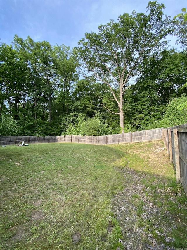 3008 Lilly Ln, Benton, AR 72019 - view of yard