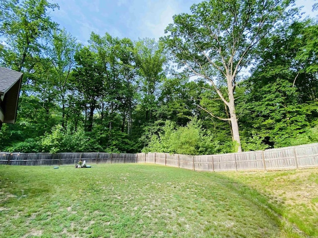 3008 Lilly Ln, Benton, AR 72019 - view of yard