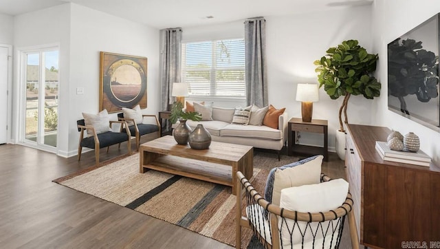 living area featuring wood finished floors, plenty of natural light, and baseboards