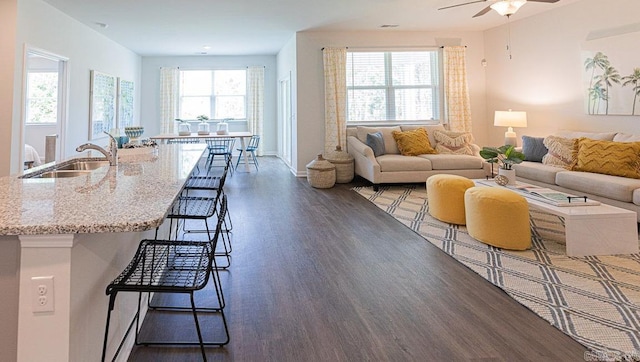 living area featuring wood finished floors, a ceiling fan, and baseboards