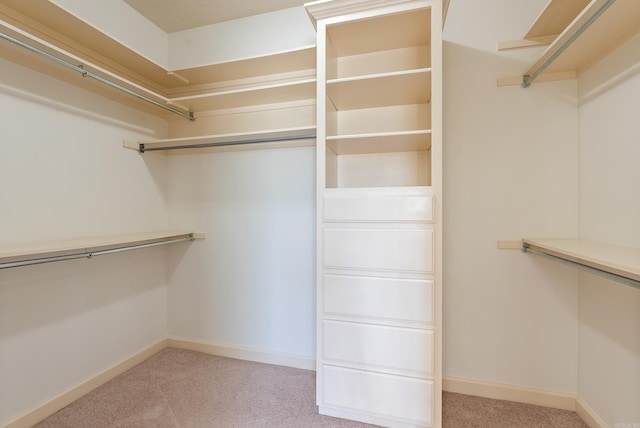 6 Donnie Cv, Greenbrier, AR 72058 - walk in closet with light carpet