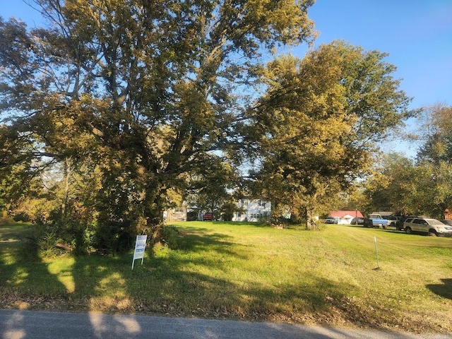 203 Alice Ct, Newport, AR 72112