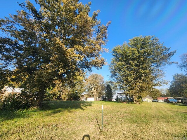 203 Alice Ct, Newport, AR 72112