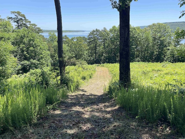 389 Tortoise Bay Rd, Higden, AR 72067 - view of wooded area featuring a water view