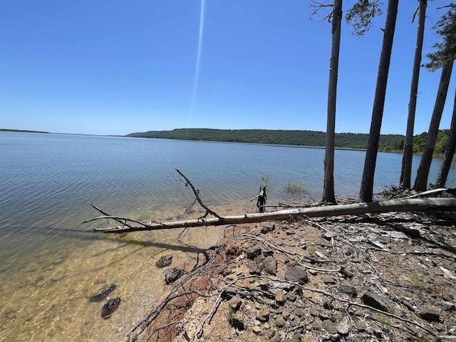 389 Tortoise Bay Rd, Higden, AR 72067 - water view