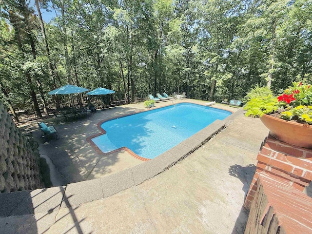 4 Dressage Ct, Little Rock, AR 72223 - outdoor pool featuring a patio area
