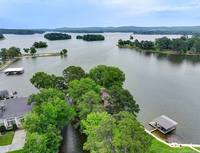 190 Woodlore Pt, Hot Springs, AR 71913 - bird's eye view of a large body of water