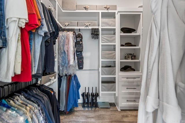 6020 Centark Ct, Alexander, AR 72002 - spacious closet with wood finished floors