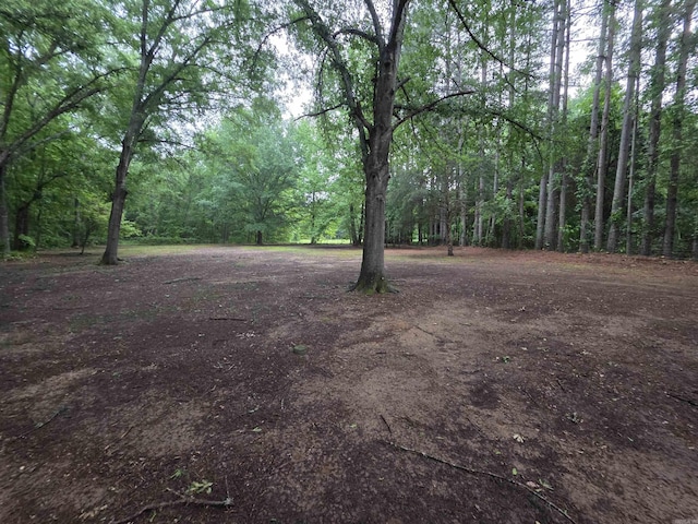 249 Mud Cat Rd, Heber Springs, AR 72543 - view of yard with a view of trees