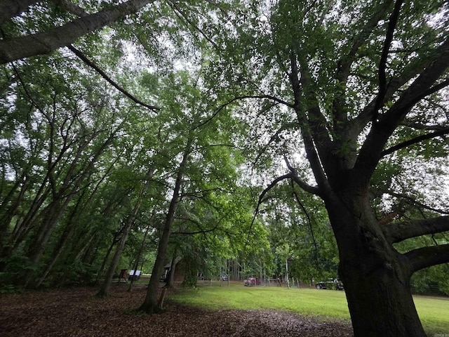 249 Mud Cat Rd, Heber Springs, AR 72543 - surrounding community featuring a yard and a wooded view