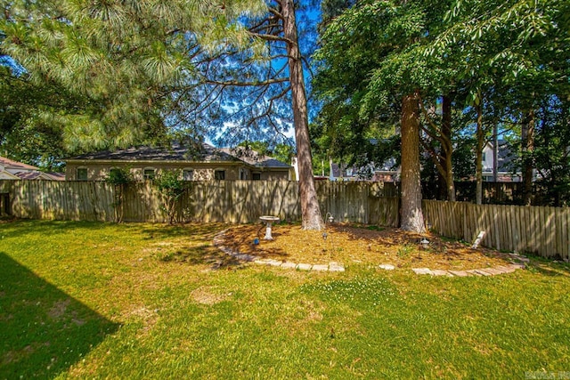 55 Laver Cir, Little Rock, AR 72210 - view of yard