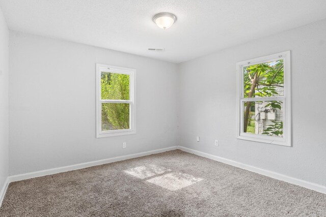 713 Hyacinth St, North Little Rock, AR 72117 - empty room with plenty of natural light, carpet, and baseboards