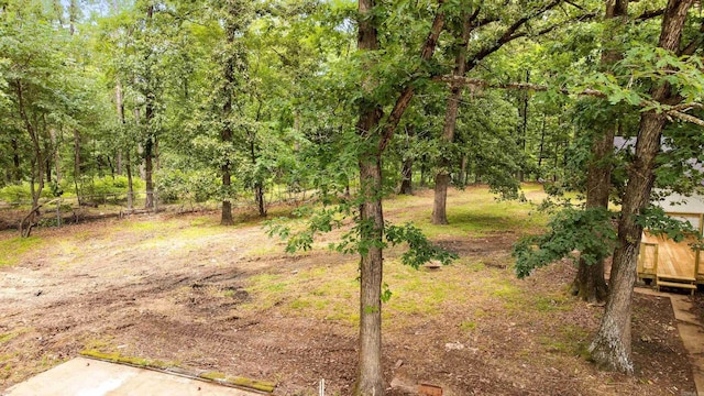 912 Bumpus Rd, Alexander, AR 72002 - view of nature
