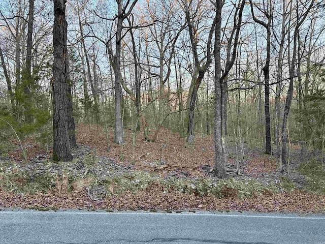 TBD Edgewood Bay Dr, Lakeview, AR 72642