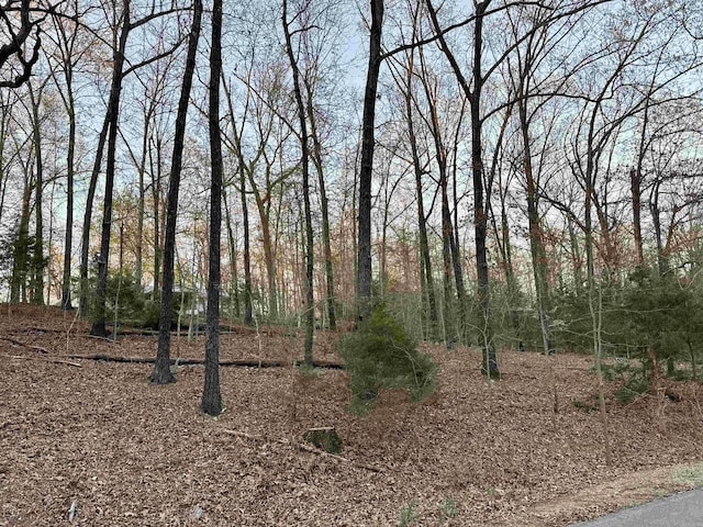 LOTS6162 Glen Cove Cir, Lakeview, AR 72642