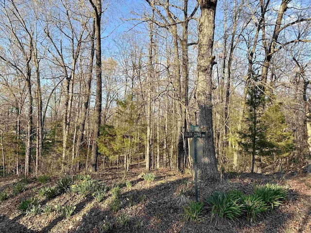 LOTS404142 Glen Cove Dr, Lakeview, AR 72642