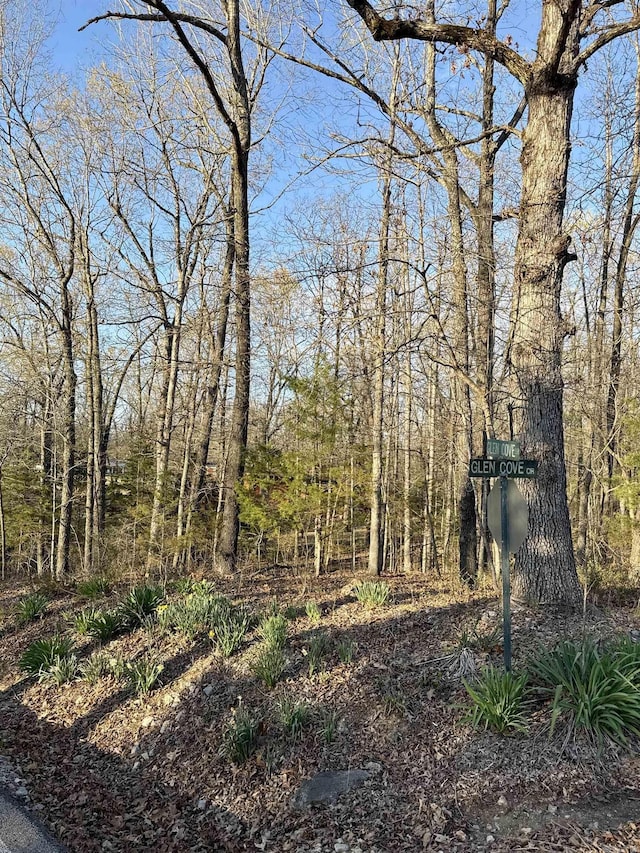 LOTS404142 Glen Cove Dr, Lakeview, AR 72642