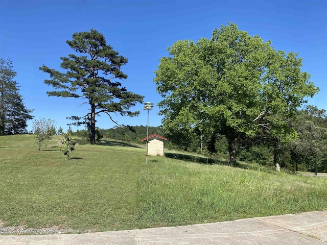 16 Mockingbird Ln, Story, AR 71970 - view of yard