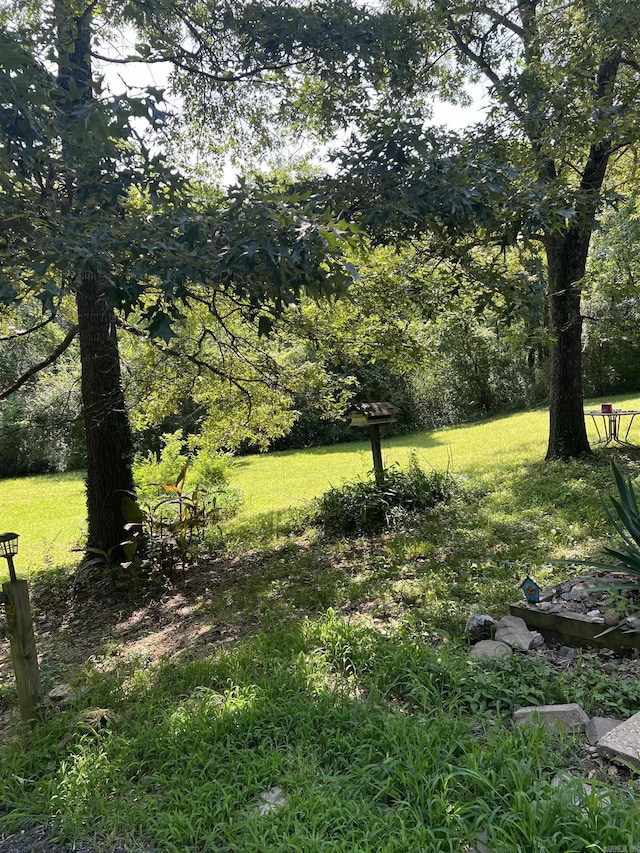 1263 Lost Creek Rd, Pearcy, AR 71964 - view of green lawn