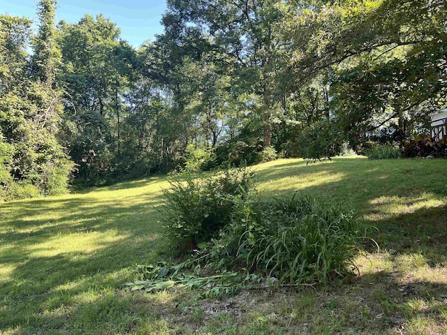 1263 Lost Creek Rd, Pearcy, AR 71964 - view of grassy yard