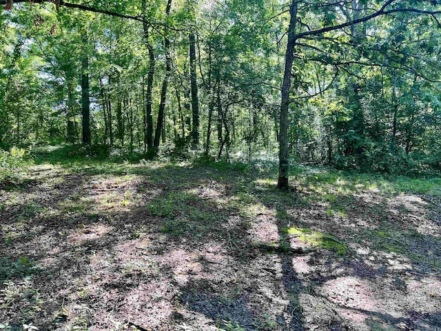 1263 Lost Creek Rd, Pearcy, AR 71964 - view of woods