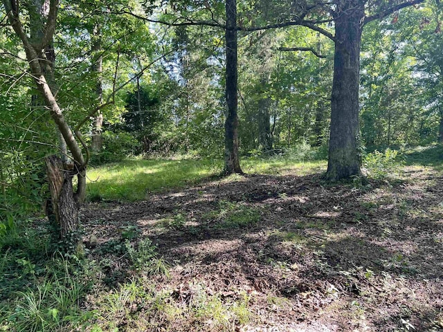 1263 Lost Creek Rd, Pearcy, AR 71964 - view of woods