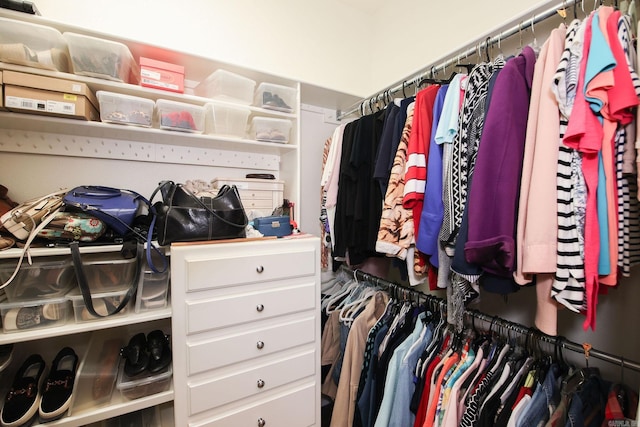 133 Scenic Valley Loop, Maumelle, AR 72113 - view of spacious closet