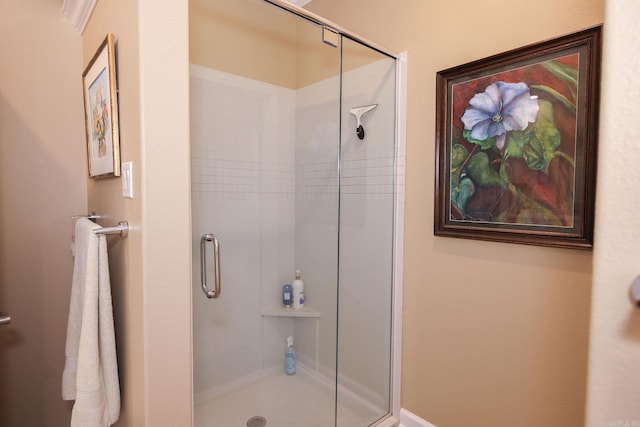 133 Scenic Valley Loop, Maumelle, AR 72113 - full bath with a shower stall