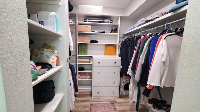 24 Fairway Woods Cir, Maumelle, AR 72113 - spacious closet with wood finished floors