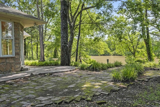 645 Drye Rd, Biscoe, AR 72017 - view of yard featuring a patio area
