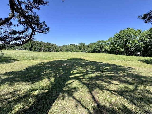 2174 N Main St, Melbourne, AR 72556 - view of grassy yard with a forest view