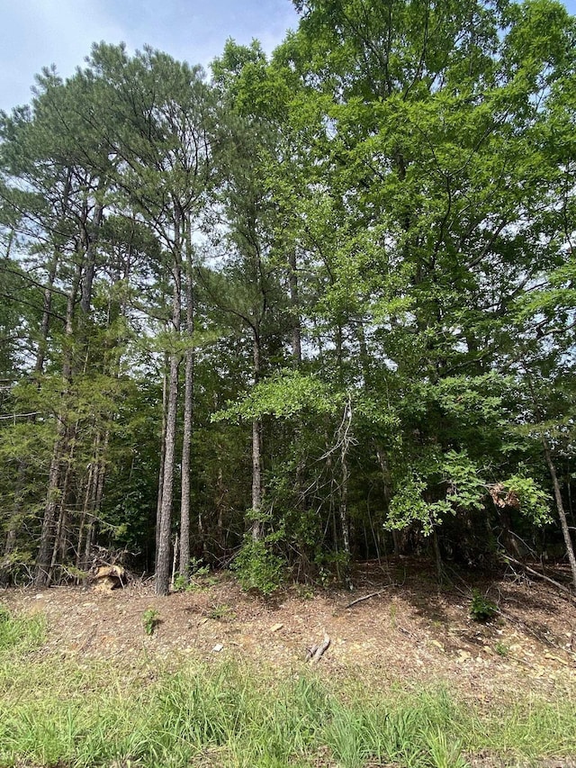 102 Salvatierra Way, Hot Springs Village, AR 71909